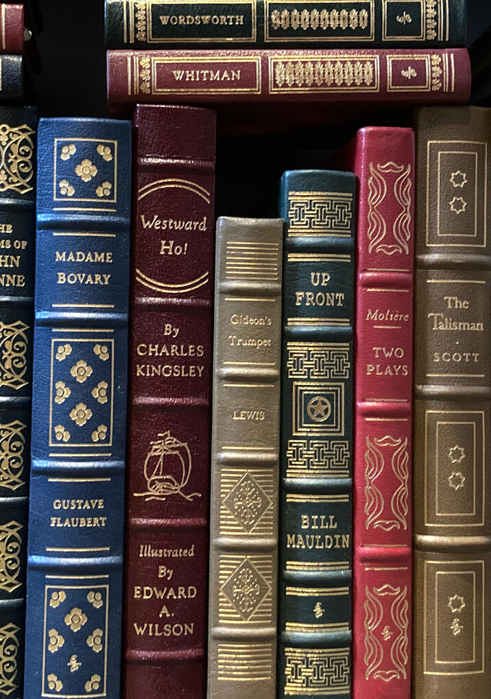 Antique Books Lined Up